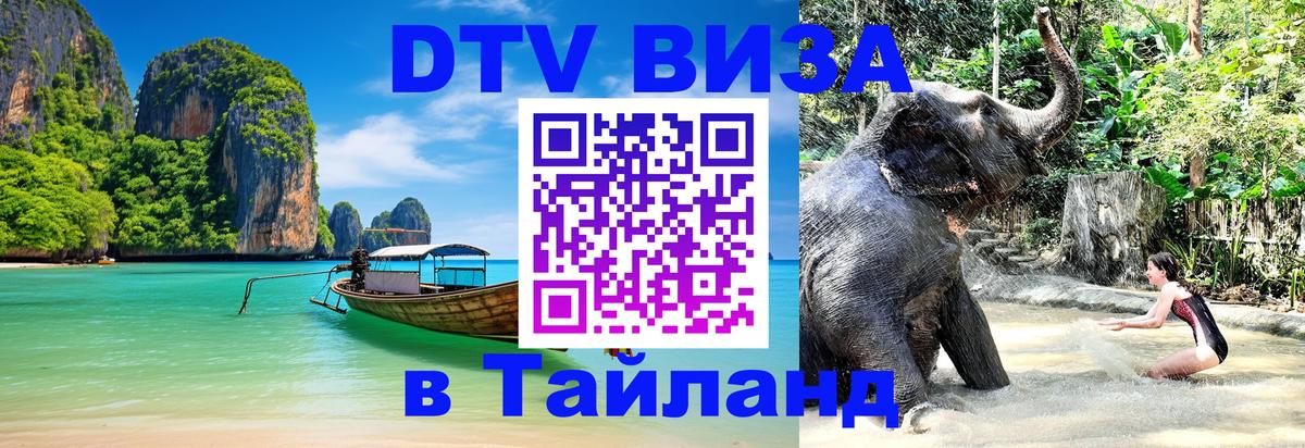 Оформление DTV визы под ключ: стоимость и тарифы, только загранпаспорт - Мурманск 